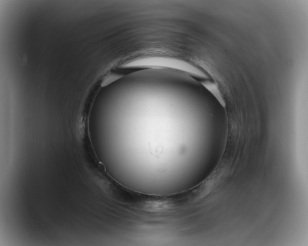 X0000088230160200705292141
