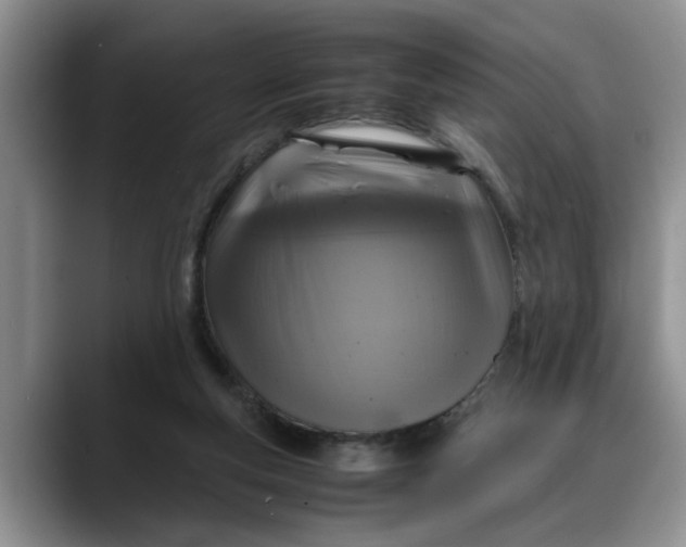X0000088230163200705292141