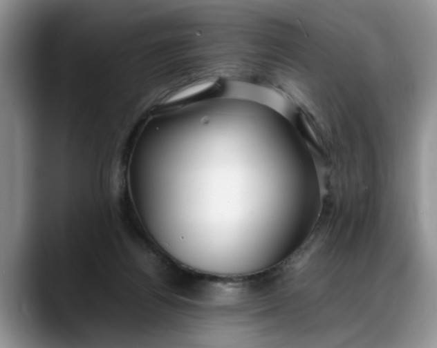 X0000088230164200705292141