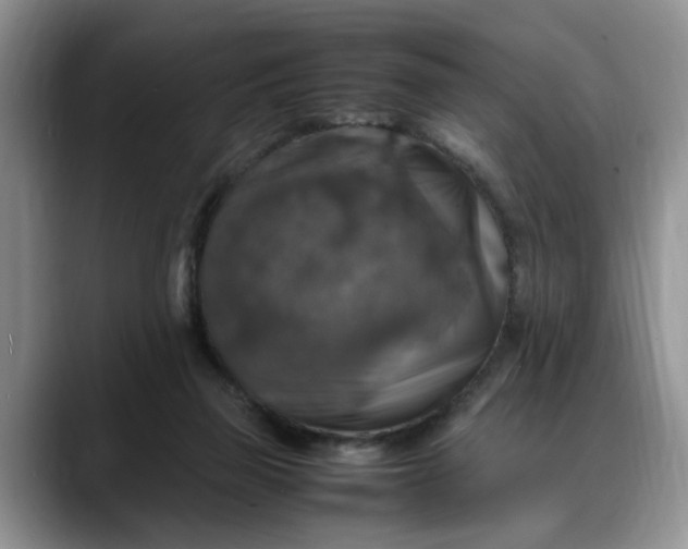 X0000088230165200705292141