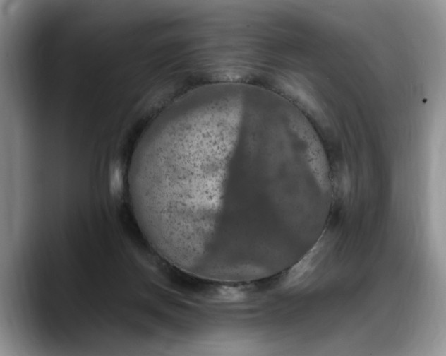 X0000088230166200705292141