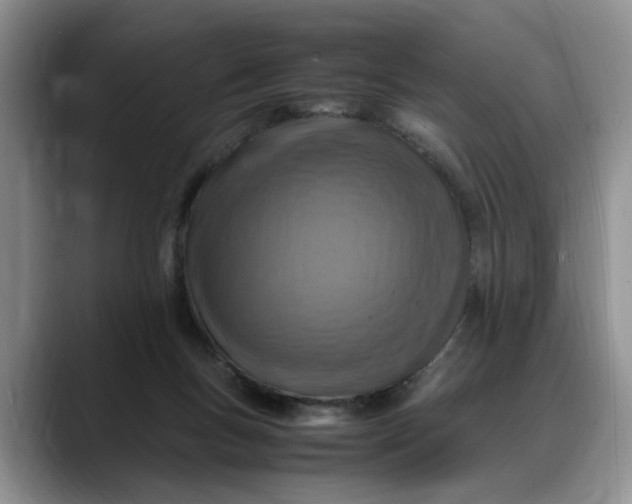 X0000088230167200705292141