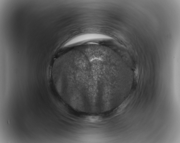 X0000088230168200705292141