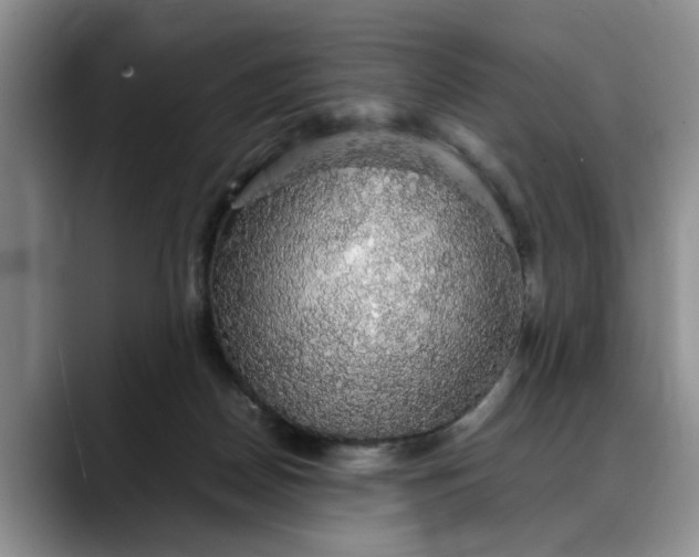 X0000088230170200705292141