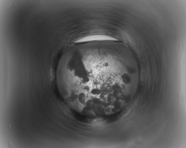 X0000088230173200705292141