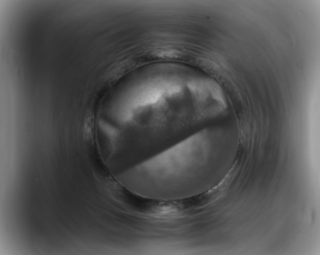 X0000088230175200705292141
