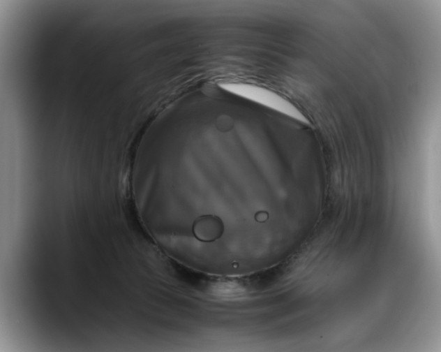 X0000088230177200705292141