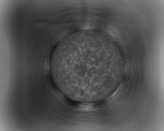 X0000088230179200705292141
