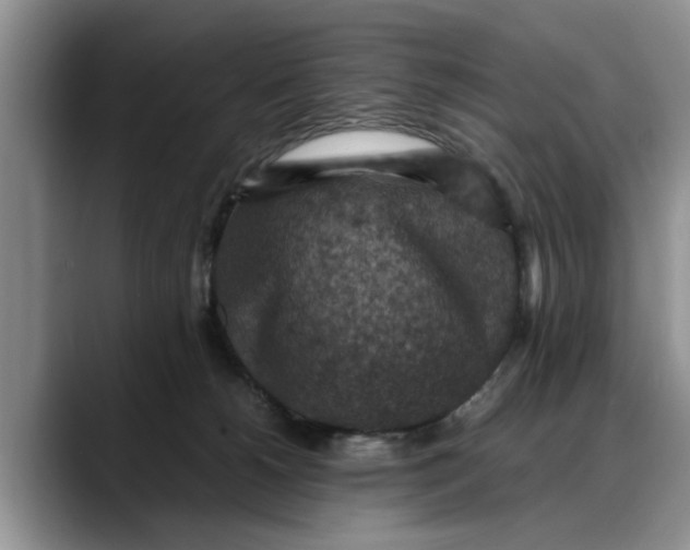 X0000088230180200705292141