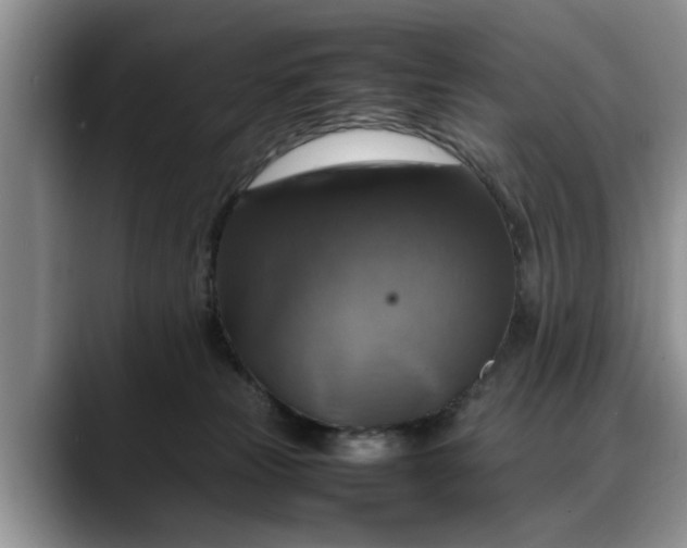 X0000088230181200705292141