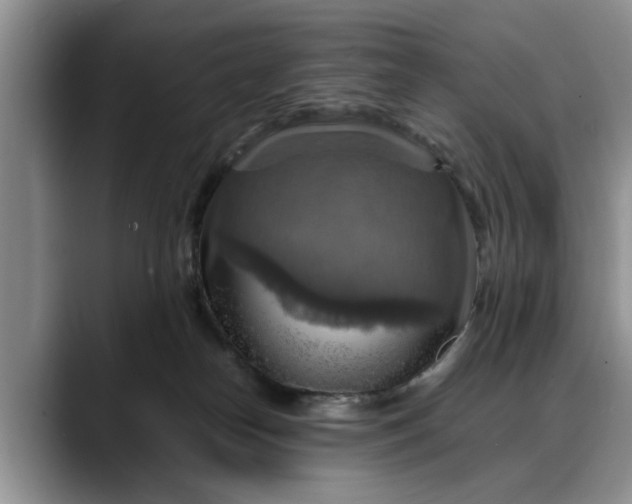 X0000088230182200705292141