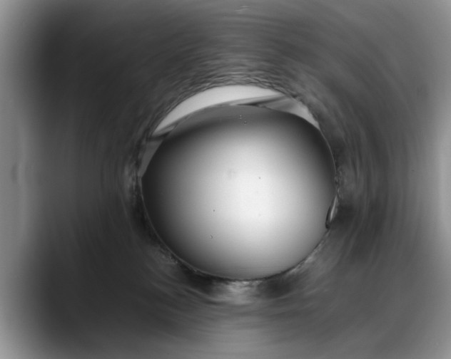 X0000088230184200705292141
