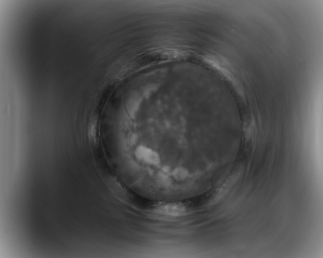 X0000088230185200705292141