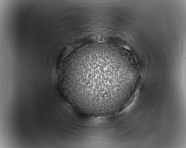 X0000088230186200705292141