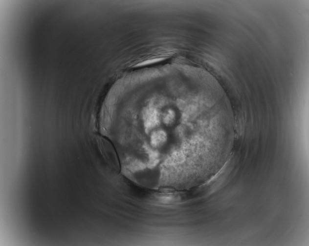 X0000088230187200705292141