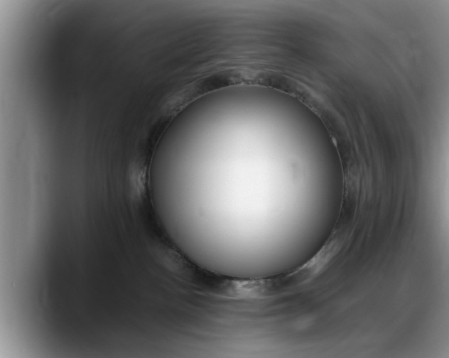 X0000088230188200705292141