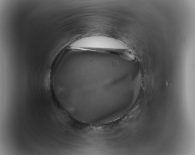 X0000088230194200705292140