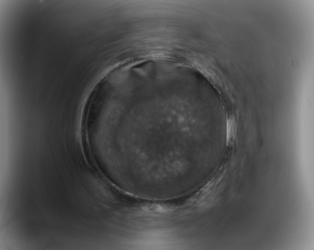 X0000088230195200705292140