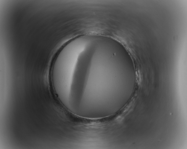 X0000088230196200705292140