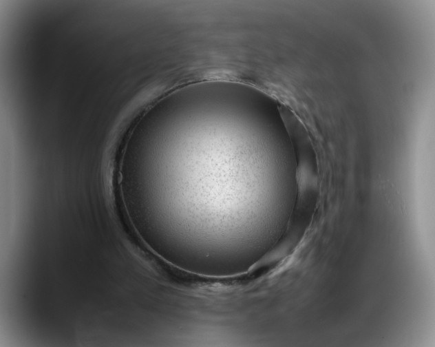 X0000088230197200705292140