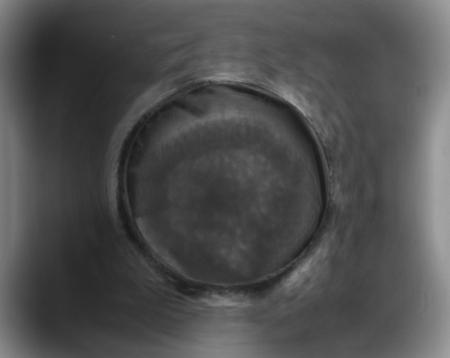 X0000088230199200705292140