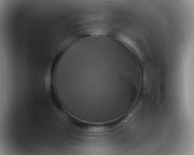 X0000088230202200705292140