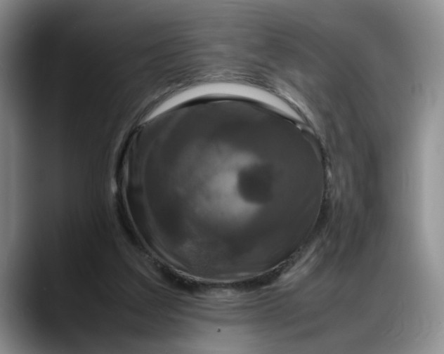 X0000088230203200705292140
