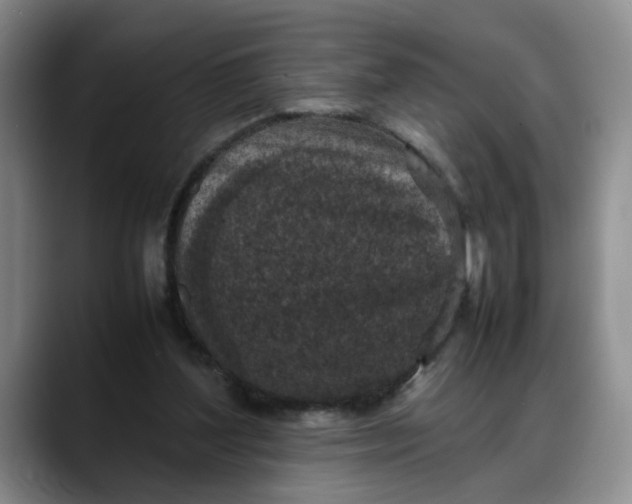 X0000088230204200705292140