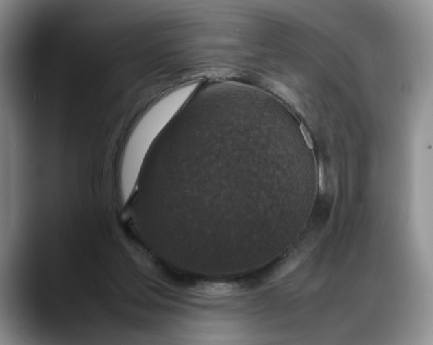 X0000088230205200705292140