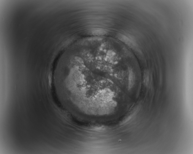 X0000088230206200705292140