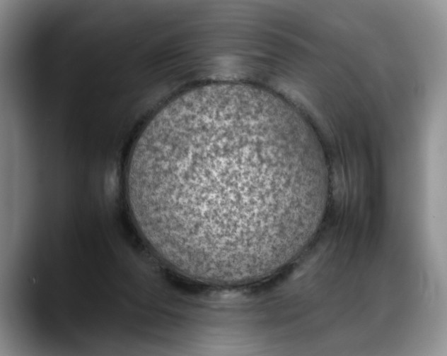 X0000088230208200705292140