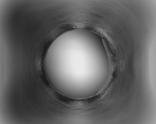X0000088230209200705292140