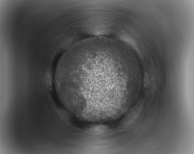 X0000088230210200705292140