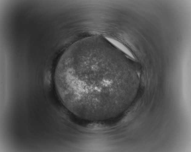 X0000088230211200705292140