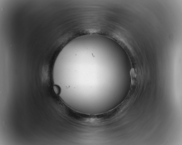 X0000088230212200705292140