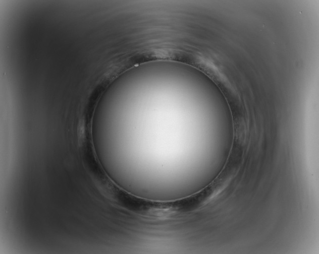 X0000088230213200705292140
