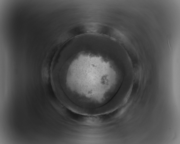 X0000088230215200705292140