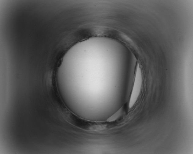 X0000088230217200705292140