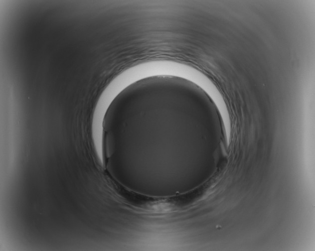 X0000088230219200705292140