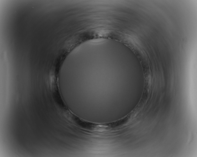 X0000088230222200705292140