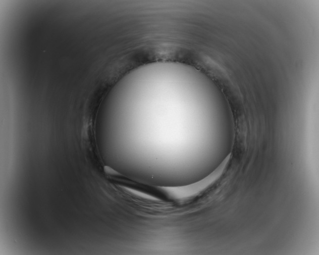 X0000088230225200705292140