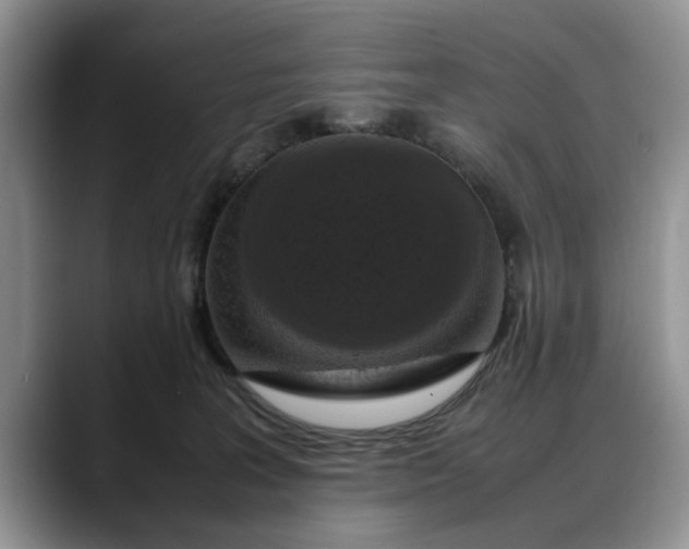 X0000088230227200705292140