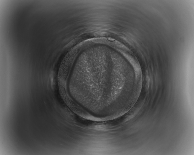 X0000088230228200705292140