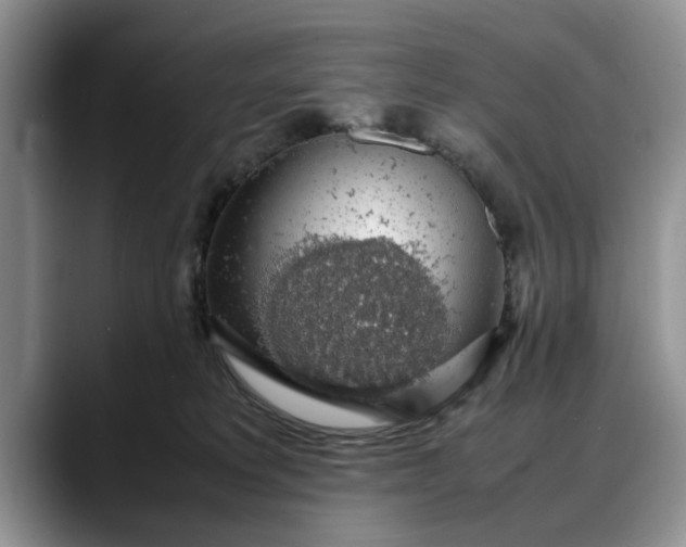 X0000088230229200705292140