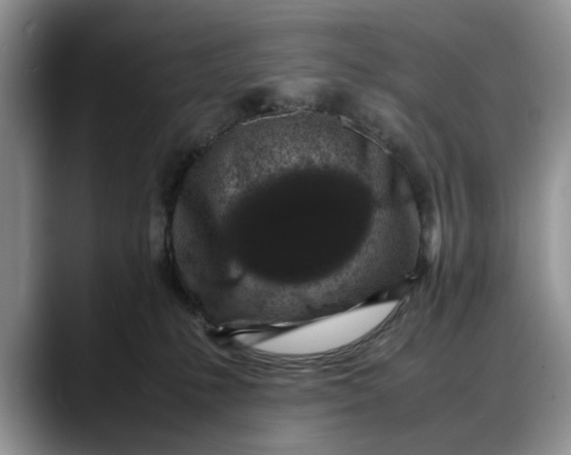 X0000088230231200705292140