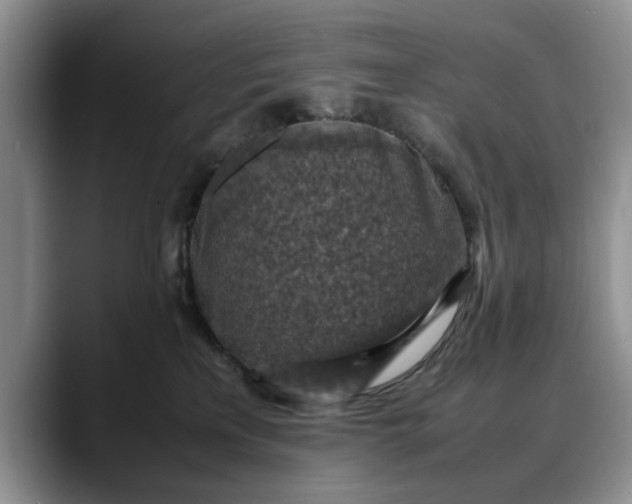X0000088230233200705292140