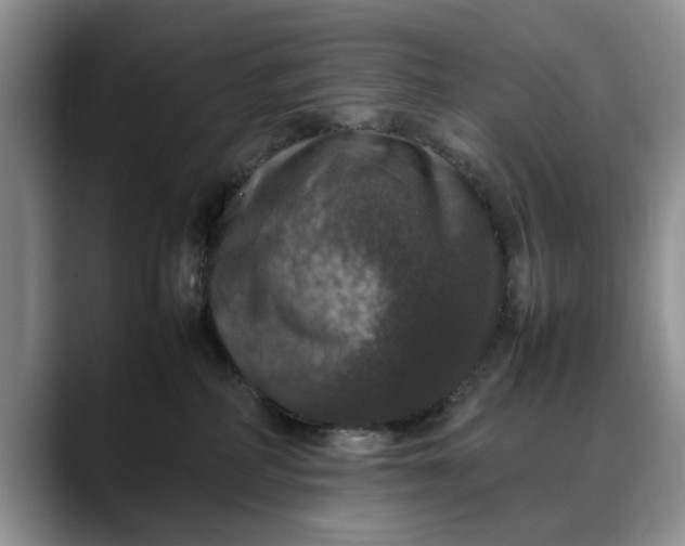 X0000088230234200705292140