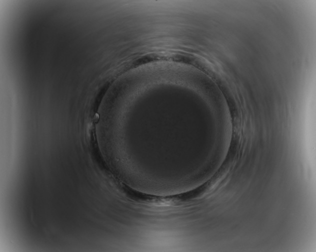 X0000088230235200705292140