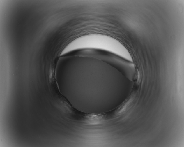 X0000088230239200705292140