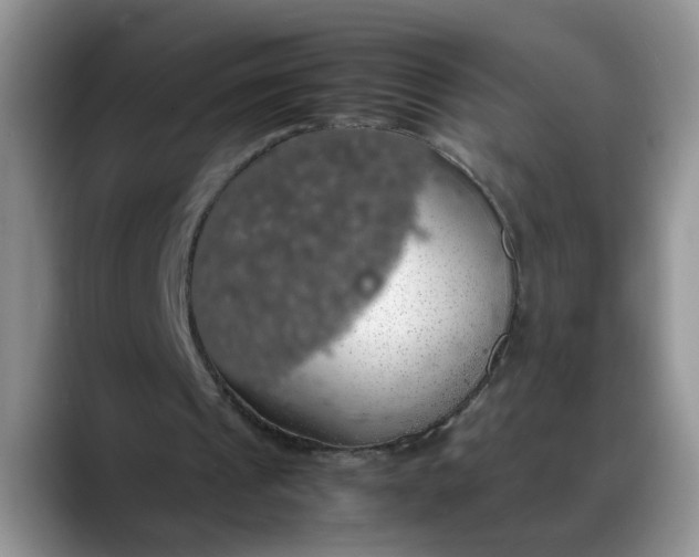 X0000088230241200705292139